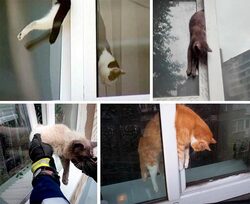 Ушел из дома — закрой окна! Синдром длительного сдавливания.